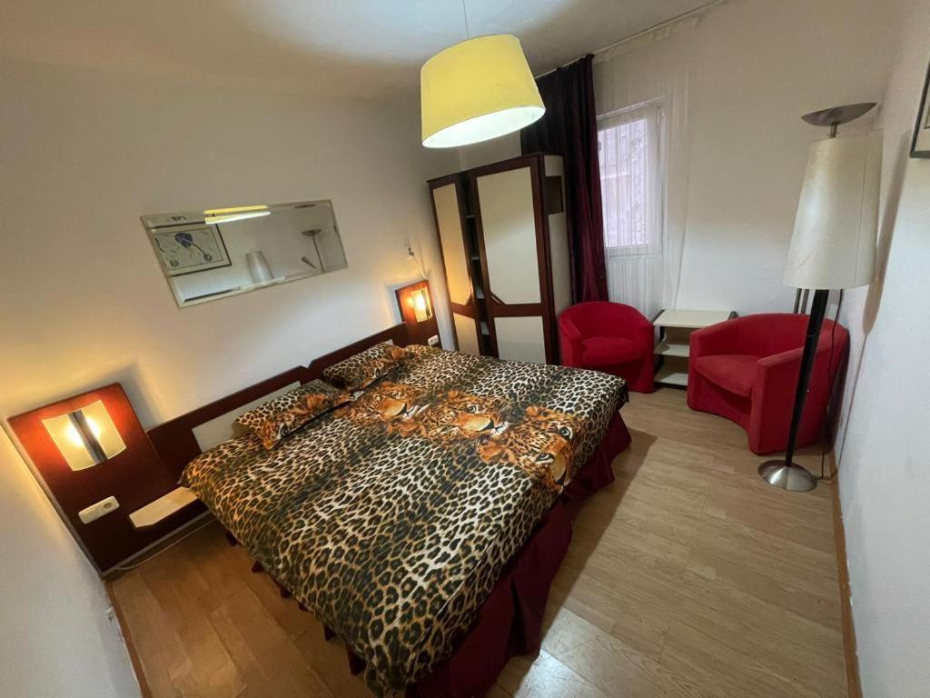 Pensiunea Coquette Costinesti Hotel Екстериор снимка
